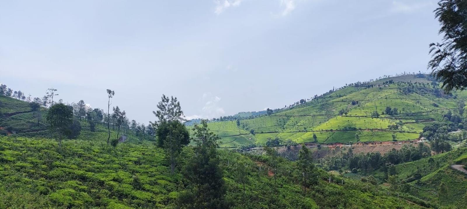 Sandy 4 Bhk Homestay - Only Adults Allowed Ooty Exterior foto